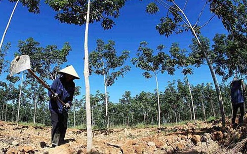 Nhiều doanh nghiệp Việt bị lừa ở Lào, Campuchia vì tin “cò” dự án - Ảnh 1