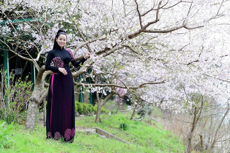 Doanh nhân Việt diện áo dài rực rỡ bên hoa anh đào Nhật Bản - Ảnh 8
