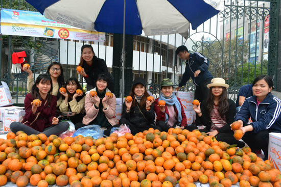 Hỗ trợ bà con, nâng cao thương hiệu cam Hà Giang - Ảnh 2