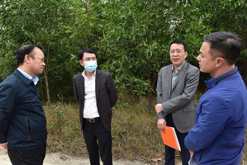 Phó Chủ tịch UBND TP Hà Nội Nguyễn Trọng Đông: Đẩy nhanh tiến độ các nhà máy xử lý rác thải - Ảnh 1