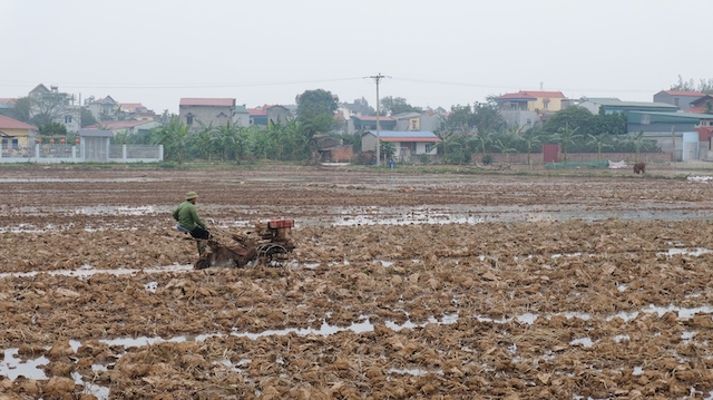 Huyện Mê Linh: Tích cực hỗ trợ các hộ dân bị cách ly sản xuất vụ Xuân - Ảnh 1