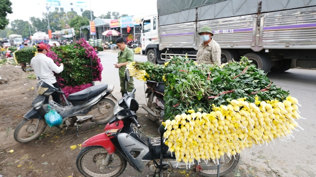 [Ảnh] Vắng người mua, giá hoa Tết tại huyện Mê Linh giảm gần 50% - Ảnh 1