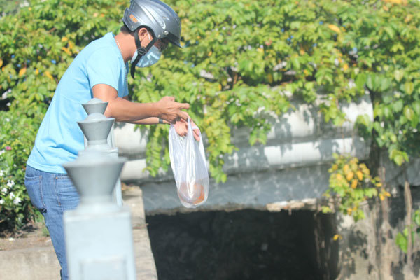 TP Hồ Chí Minh: Cá tiễn Táo quân, rác ở lại! - Ảnh 2