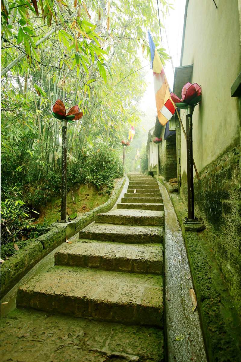 Những đường cong hút hồn ở chùa Tây Phương, Hà Nội - Ảnh 5