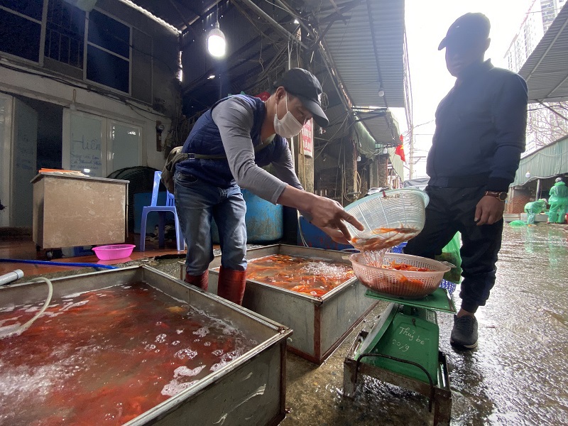 [Ảnh] Chợ cá lớn nhất Hà Nội tấp nập buôn bán trước ngày ông Công ông Táo - Ảnh 9