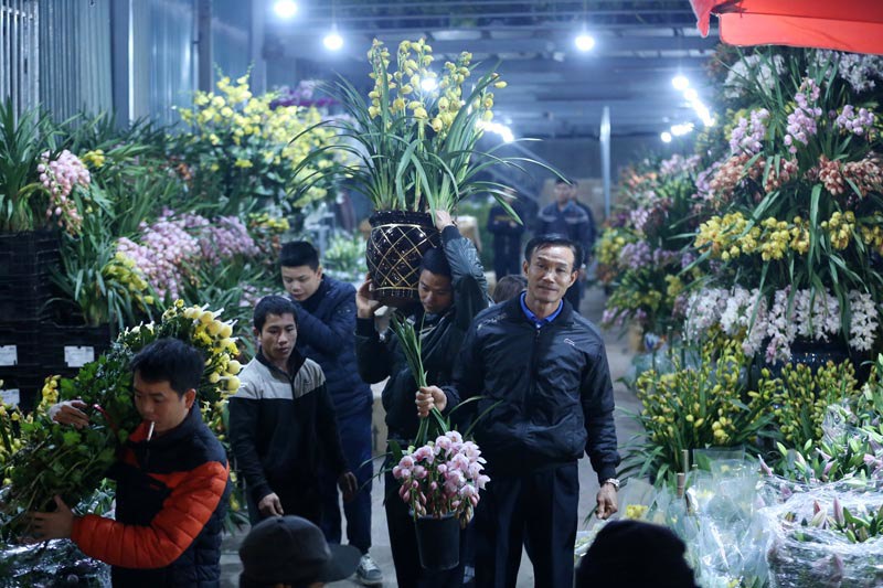 Chợ hoa Quảng An tấp nập ngày giáp Tết - Ảnh 2