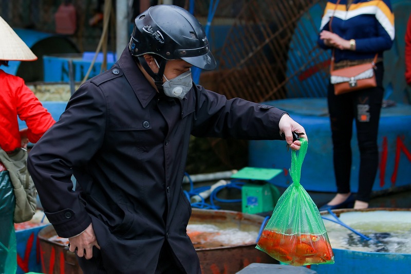 [Ảnh] Chợ cá lớn nhất Hà Nội tấp nập buôn bán trước ngày ông Công ông Táo - Ảnh 11