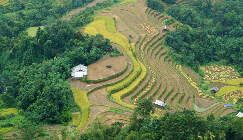 Hà Giang đẹp ngỡ ngàng những ngày chớm Đông - Ảnh 8