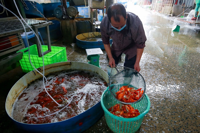 [Ảnh] Chợ cá lớn nhất Hà Nội tấp nập buôn bán trước ngày ông Công ông Táo - Ảnh 4