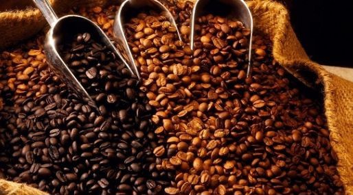 Giá cà phê hôm nay 13/11: Tăng trưởng ấn tượng, giá cà phê trong nước đang cao nhất kể từ đầu năm - Ảnh 1