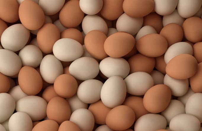 Giá trứng gia cầm giảm vì tiêu thụ chậm - Ảnh 1
