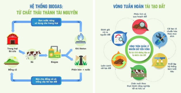 Vinamilk vững vàng vị trí dẫn đầu Top 100 doanh nghiệp bền vững Việt Nam năm 2020 - Ảnh 3
