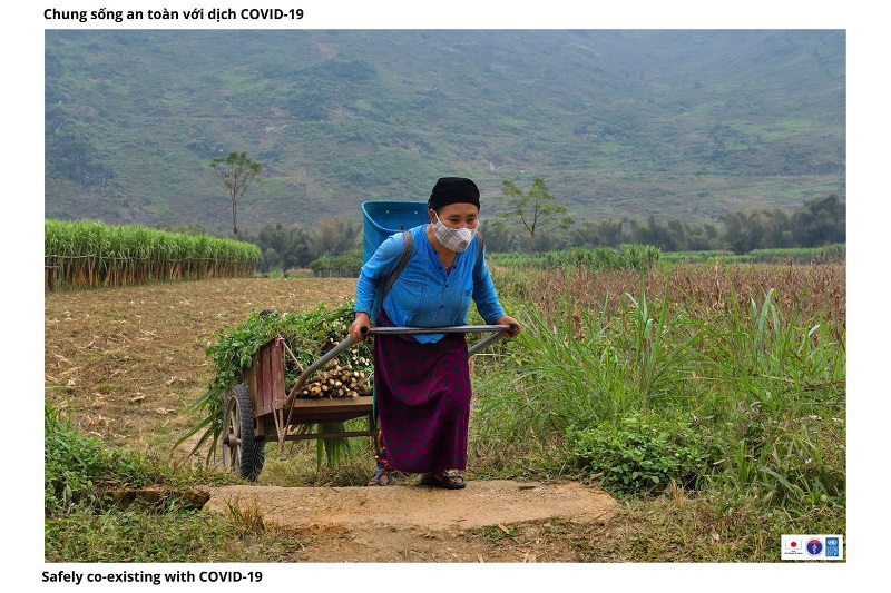 Yên Minh, Hà Giang: Nét đẹp trong lao động sản xuất kết hợp với các biện pháp phòng, chống dịch bệnh Covid-19 hiệu quả - Ảnh 6