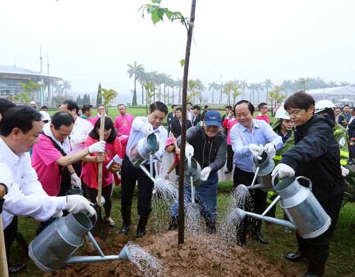 Hà Nội và AEON triển khai trồng 3.000 cây hoa Anh đào tại Công viên Hòa Bình - Ảnh 1