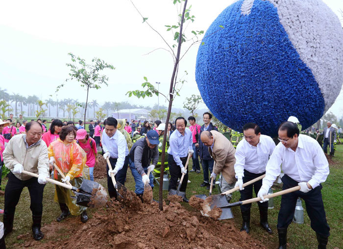 Hà Nội và AEON triển khai trồng 3.000 cây hoa Anh đào tại Công viên Hòa Bình - Ảnh 2