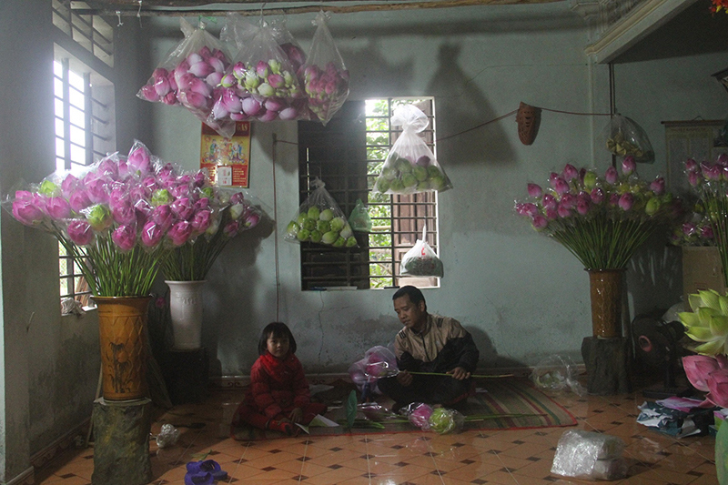 Xuân về trên làng hoa giấy hơn 300 năm tuổi xứ Huế - Ảnh 2