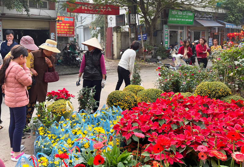 Nhộn nhịp chợ hoa Vạn Phúc (Hà Đông) - Ảnh 2