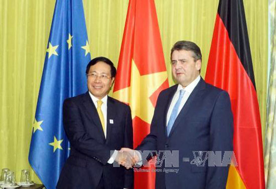 Việt - Đức tăng cường phối hợp chính sách giữa G20 và APEC - Ảnh 1