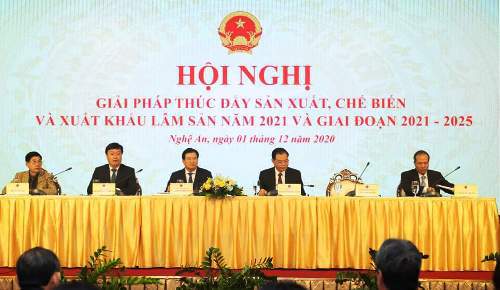 Xuất khẩu lâm sản Việt Nam đứng đầu khối ASEAN - Ảnh 1