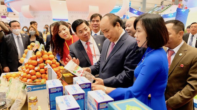 Thủ tướng Nguyễn Xuân Phúc: Kinh tế tập thể, hợp tác xã là xu hướng tất yếu trong hội nhập - Ảnh 1
