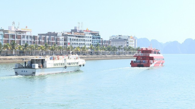 Quảng Ninh: Miễn phí tàu cao tốc đưa gần 300 công dân ra đảo ăn Tết - Ảnh 1