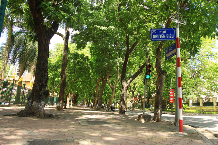Những tuyến phố có vỉa hè đẹp ở Hà Nội - Ảnh 12