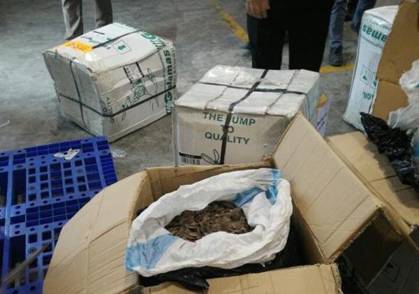 Liên tiếp phát hiện nhiều lô hàng chứa vảy tê tê ở Sân bay Nội Bài - Ảnh 1