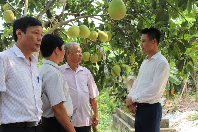 Phú Xuyên đưa làng nghề thành điểm đến du lịch - Ảnh 1