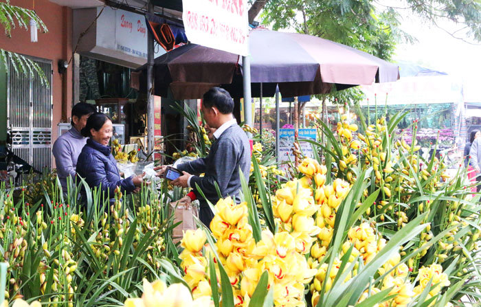 Hà Nội, thị trường hoa lan bắt đầu sôi động - Ảnh 5