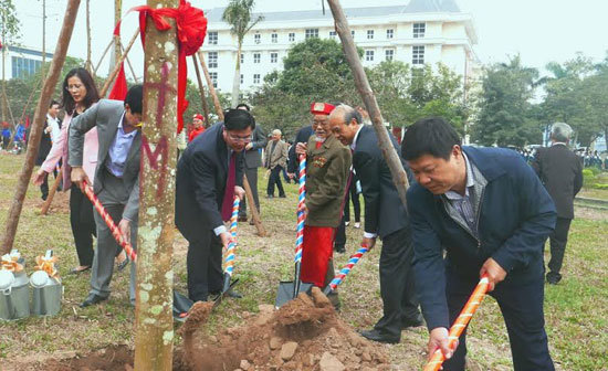 Năm 2017, quận Hoàng Mai trồng 5.000 cây xanh - Ảnh 1