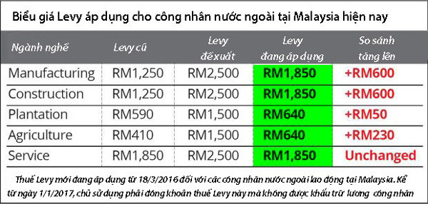 Thông tin vui với lao động Việt Nam tại Malaysia ngày đầu năm - Ảnh 1