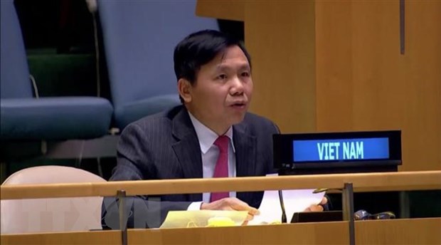 'Việt Nam hoàn thành tốt trách nhiệm tại Hội đồng Bảo an năm 2020' - Ảnh 1
