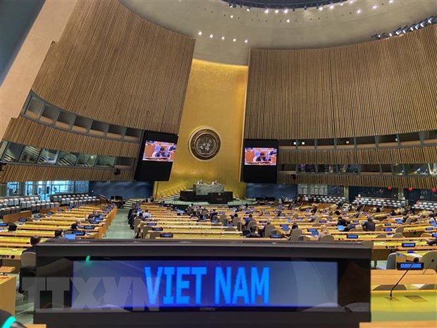 'Việt Nam hoàn thành tốt trách nhiệm tại Hội đồng Bảo an năm 2020' - Ảnh 2