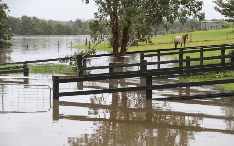 Australia oằn mình chống đỡ trận mưa lũ lịch sử “trăm năm có một” - Ảnh 5