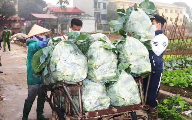 Huyện Mê Linh: Nhịp sống trở lại bình thường tại thôn Do Hạ - Ảnh 2