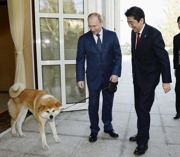 Ông Putin từ chối quà ngoại giao của Nhật - Ảnh 1