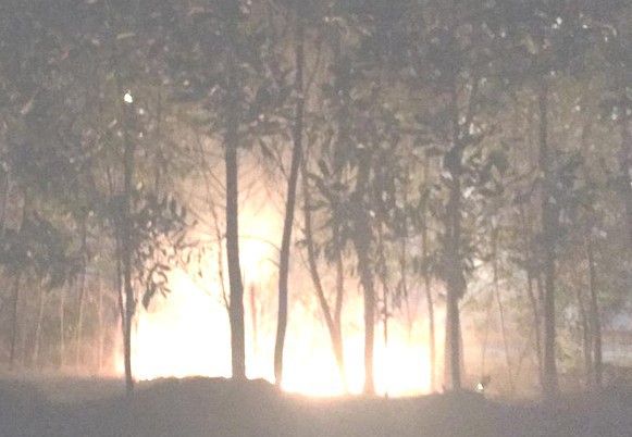 Hà Nội: Báo động hành vi đốt lửa gây cháy thảm cây xanh trên các tuyến đường lớn - Ảnh 3
