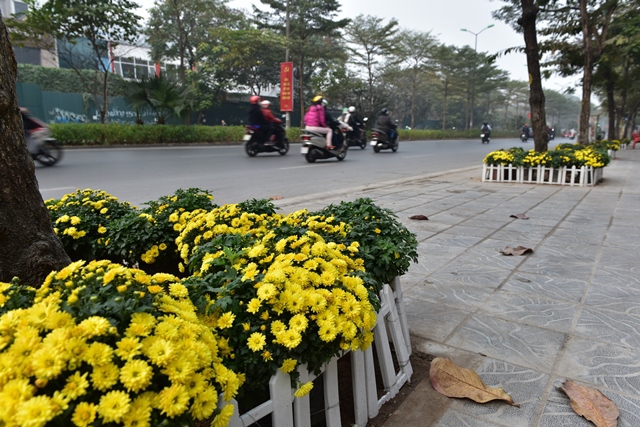 “Con đường hoa” chào mừng Đại hội Đảng của cán bộ, nhân dân phường Quan Hoa - Ảnh 3