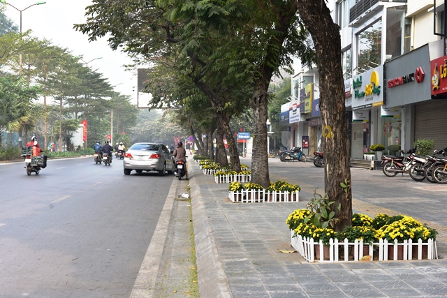 “Con đường hoa” chào mừng Đại hội Đảng của cán bộ, nhân dân phường Quan Hoa - Ảnh 10