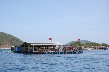 Không đưa du khách đến các bè nổi trong khu vực vịnh Nha Trang - Ảnh 1