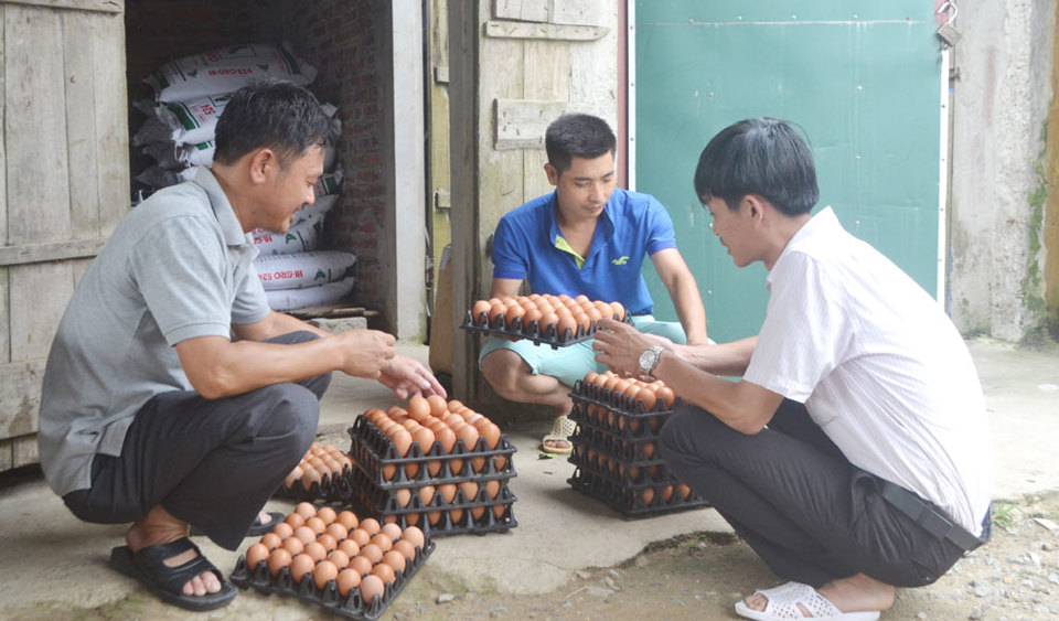 Giúp nông dân làm chủ khoa học kỹ thuật - Ảnh 1