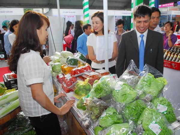 Nông nghiệp công nghệ cao hấp dẫn nhiều nhà đầu tư Việt - Ảnh 1