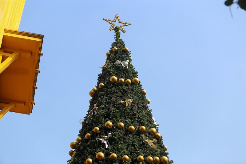 [Ảnh] Cận cảnh những cây thông Noel “khổng lồ” tại Hà Nội - Ảnh 13