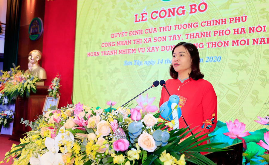 Thị xã Sơn Tây đón nhận danh hiệu đạt chuẩn nông thôn mới - Ảnh 5