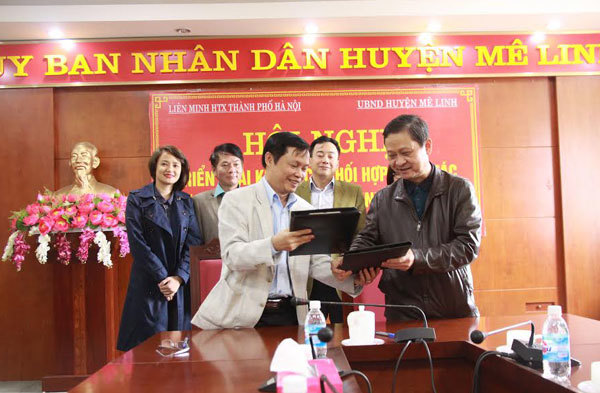 Đẩy mạnh phát triển hợp tác xã huyện Mê Linh - Ảnh 1