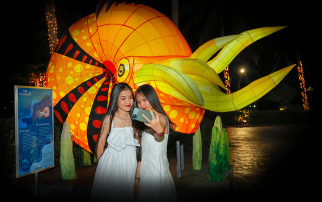 Đảo ngọc Phú Quốc đón giáng sinh với triển lãm ánh sáng “Save the Oceans” - Ảnh 3