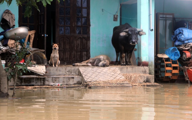 Nhiều ngôi làng ở Quảng Nam bị nước lũ cô lập - Ảnh 6