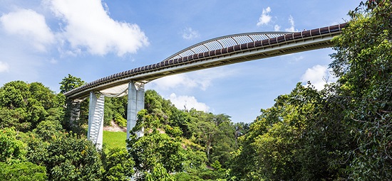 Singapore - Quốc gia có mật độ cây xanh lớn nhất thế giới - Ảnh 3