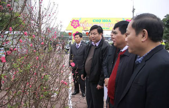 Quận Hoàng Mai: Khai mạc chợ hoa Xuân Đinh Dậu 2017 - Ảnh 1