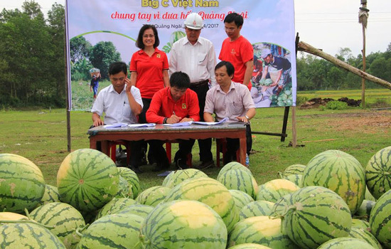 Big C chung tay bán dưa hấu giúp nông dân Quảng Ngãi - Ảnh 2